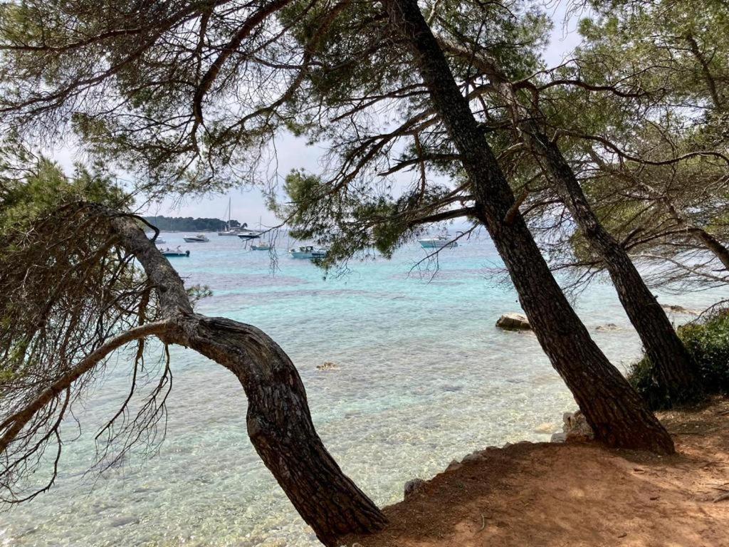 Appartement Centre Croisette Emplacement Exceptionnel Cannes Exteriör bild