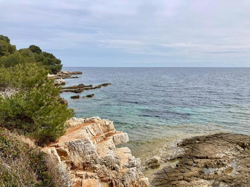 Appartement Centre Croisette Emplacement Exceptionnel Cannes Exteriör bild